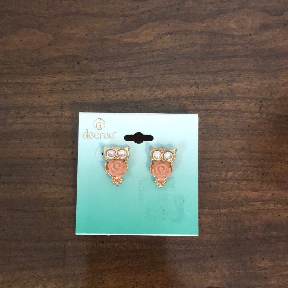 owl earrings- never worn